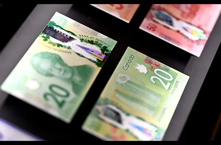 مدیران کانادایی در ۲۰۲۳ چقدر درآمد داشتند؟ نگاهی به دستمزدهای سرسام‌آور